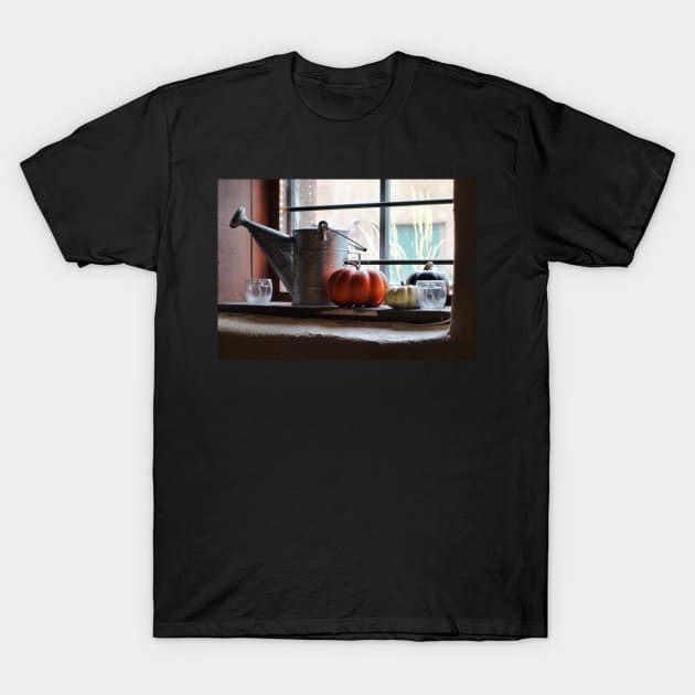 Adobe Window Autumn Still Life C1 T-Shirt by bobmeyers